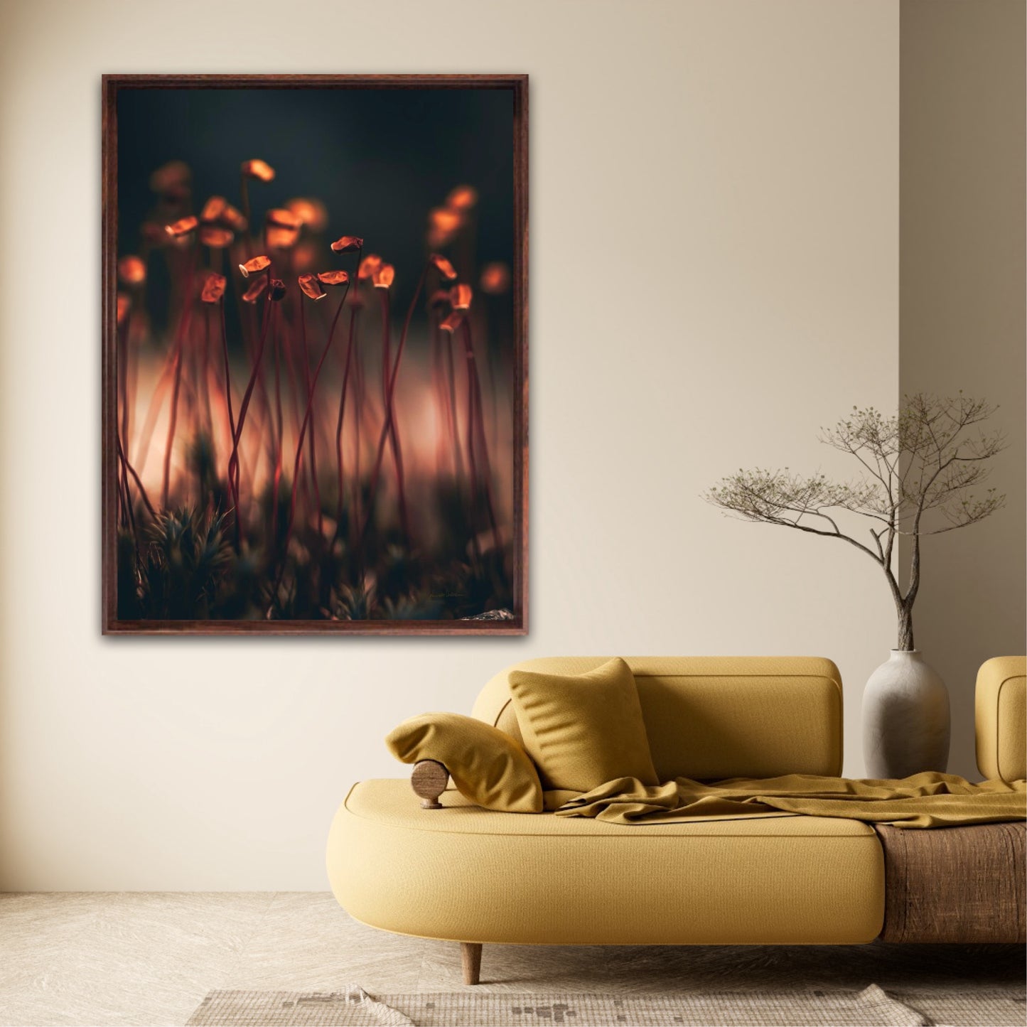 Amber Dreams