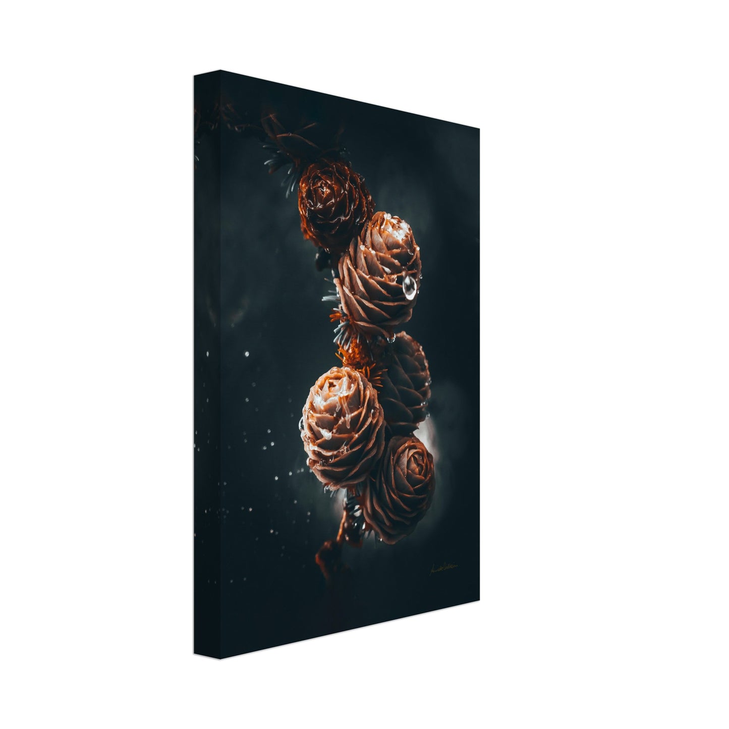 41d4e2ba-2ff8-4eb5-99c7-99bbf3e2205b