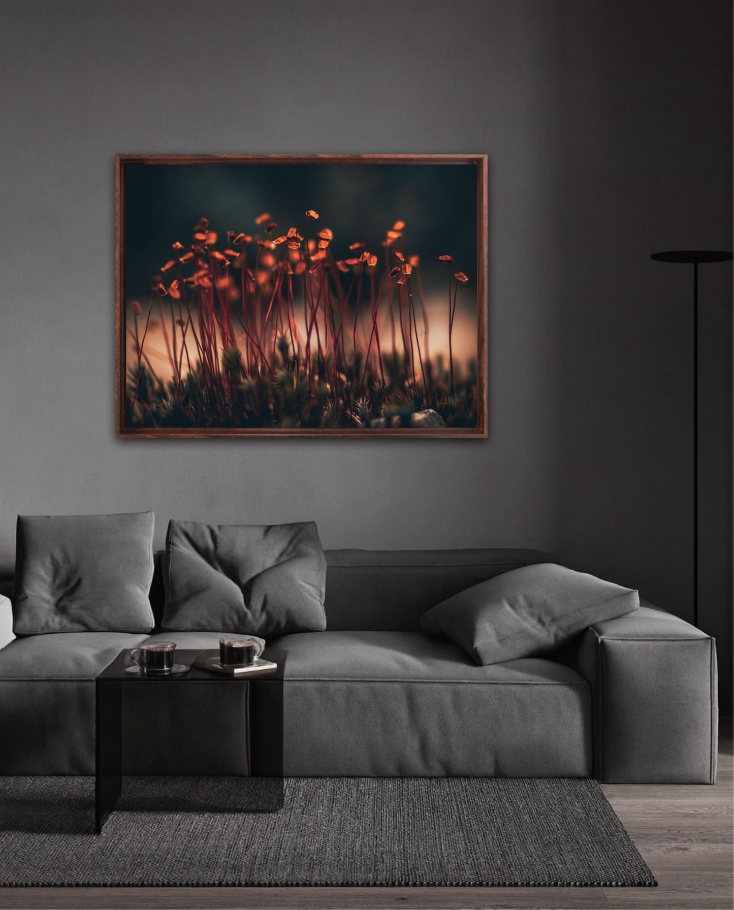 Amber Dreams - liggende format
