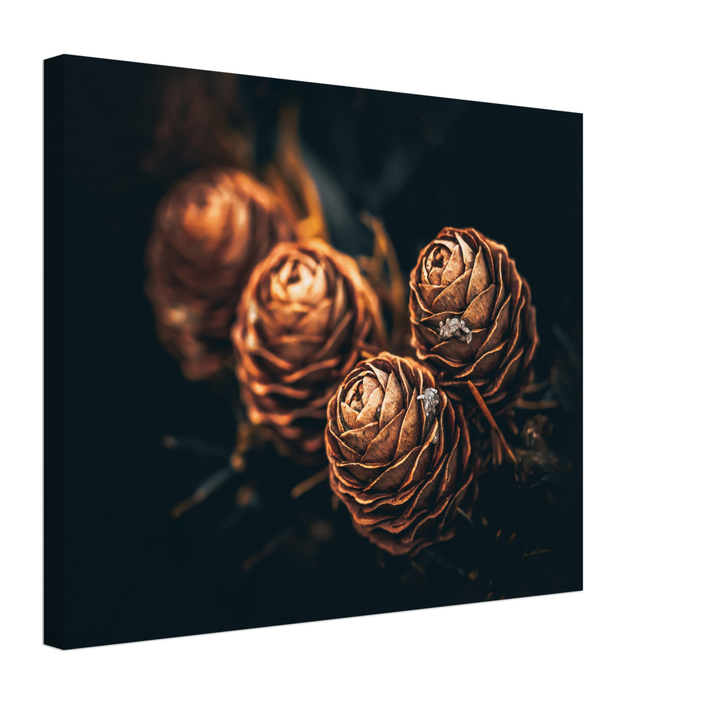 Golden Cone II - liggende format