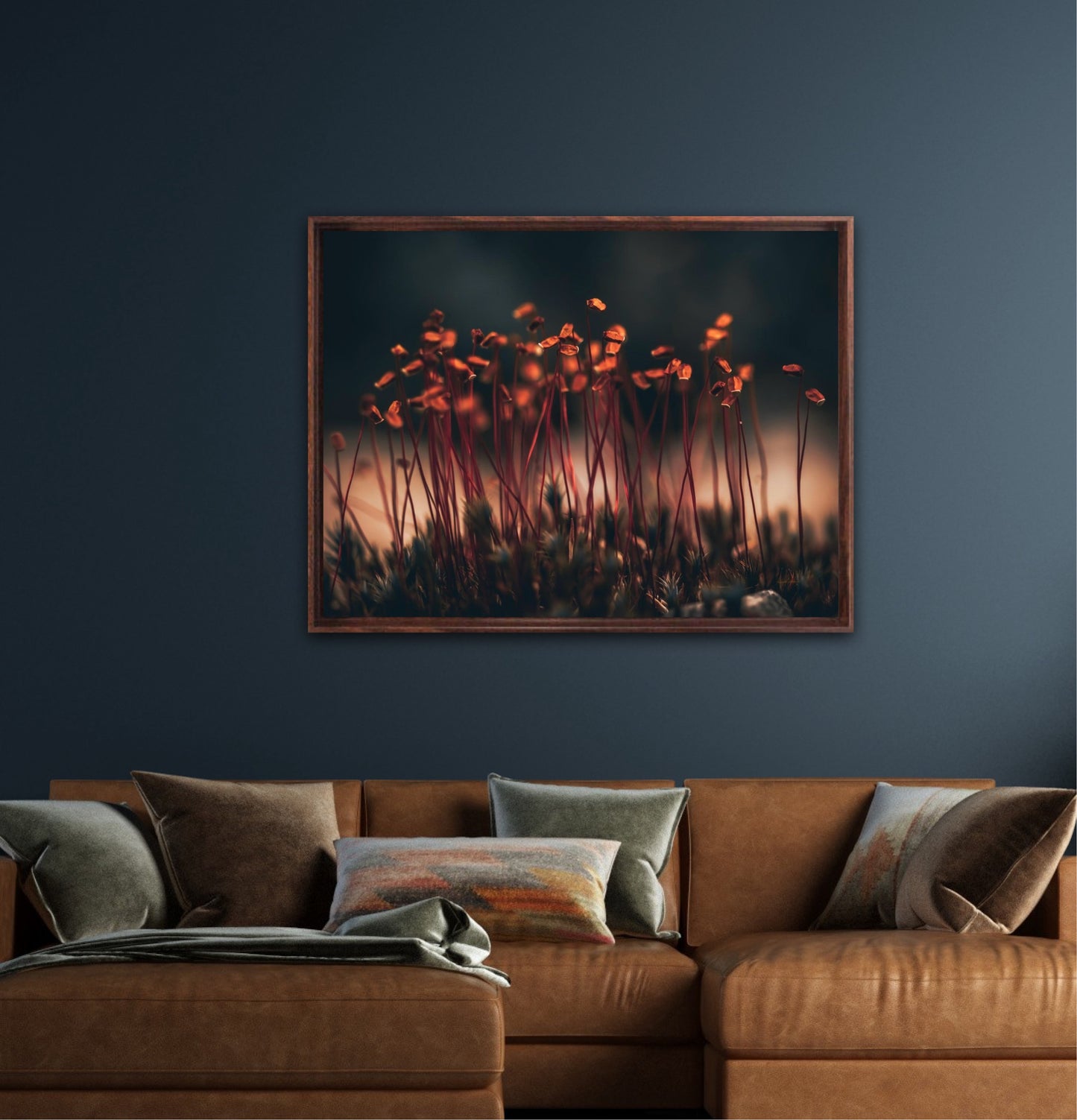 Amber Dreams - liggende format