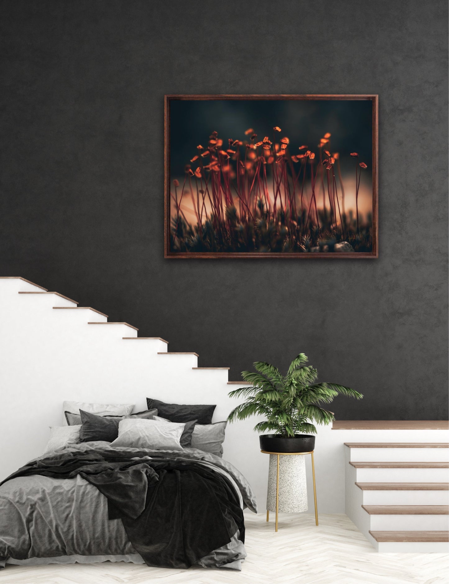 Amber Dreams - liggende format