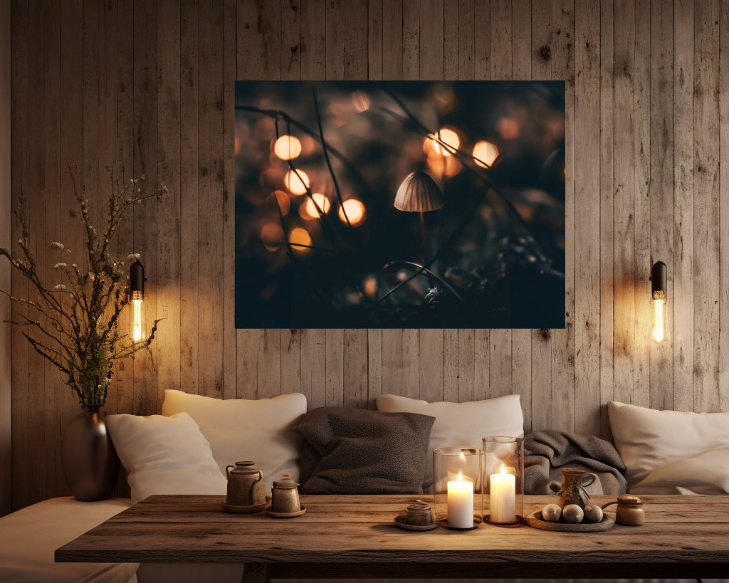 Hide&seek - liggende format