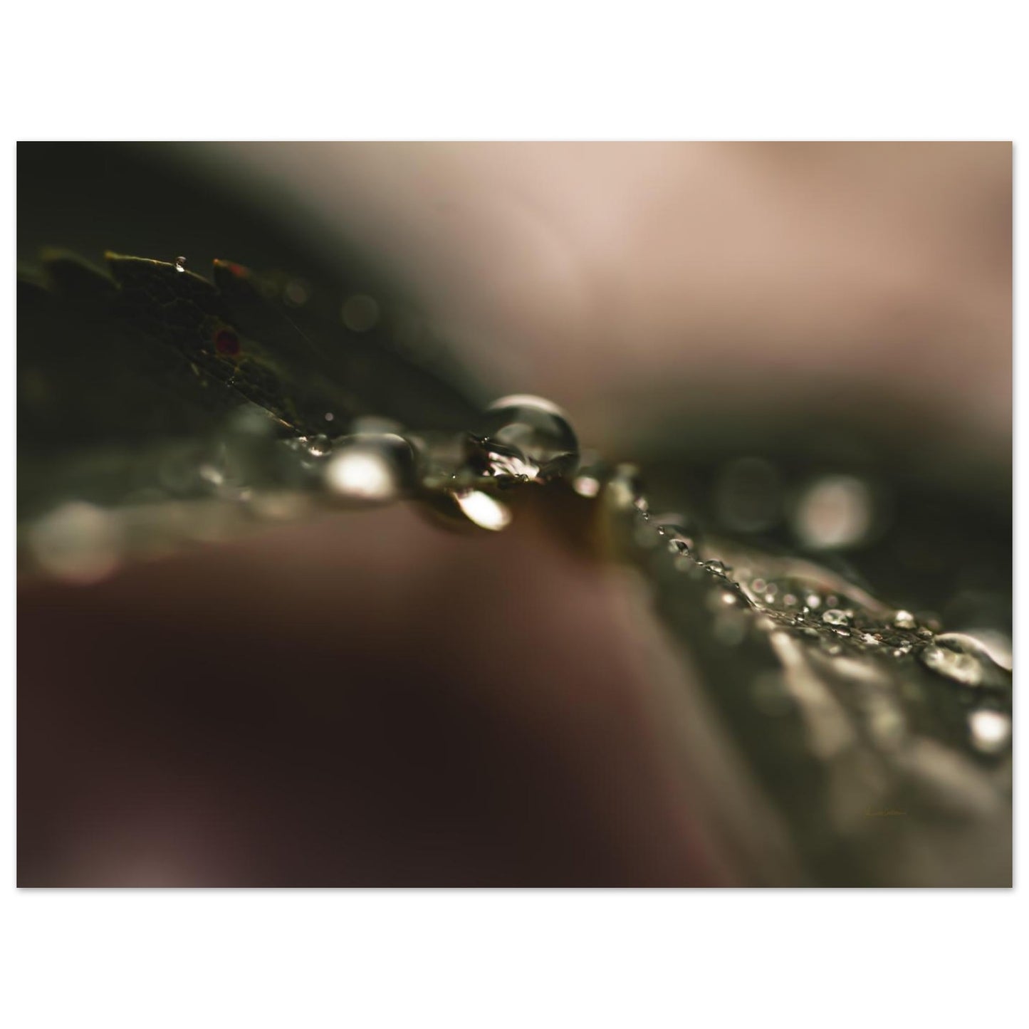 94e77c03-86f1-4109-968f-827551d5d066