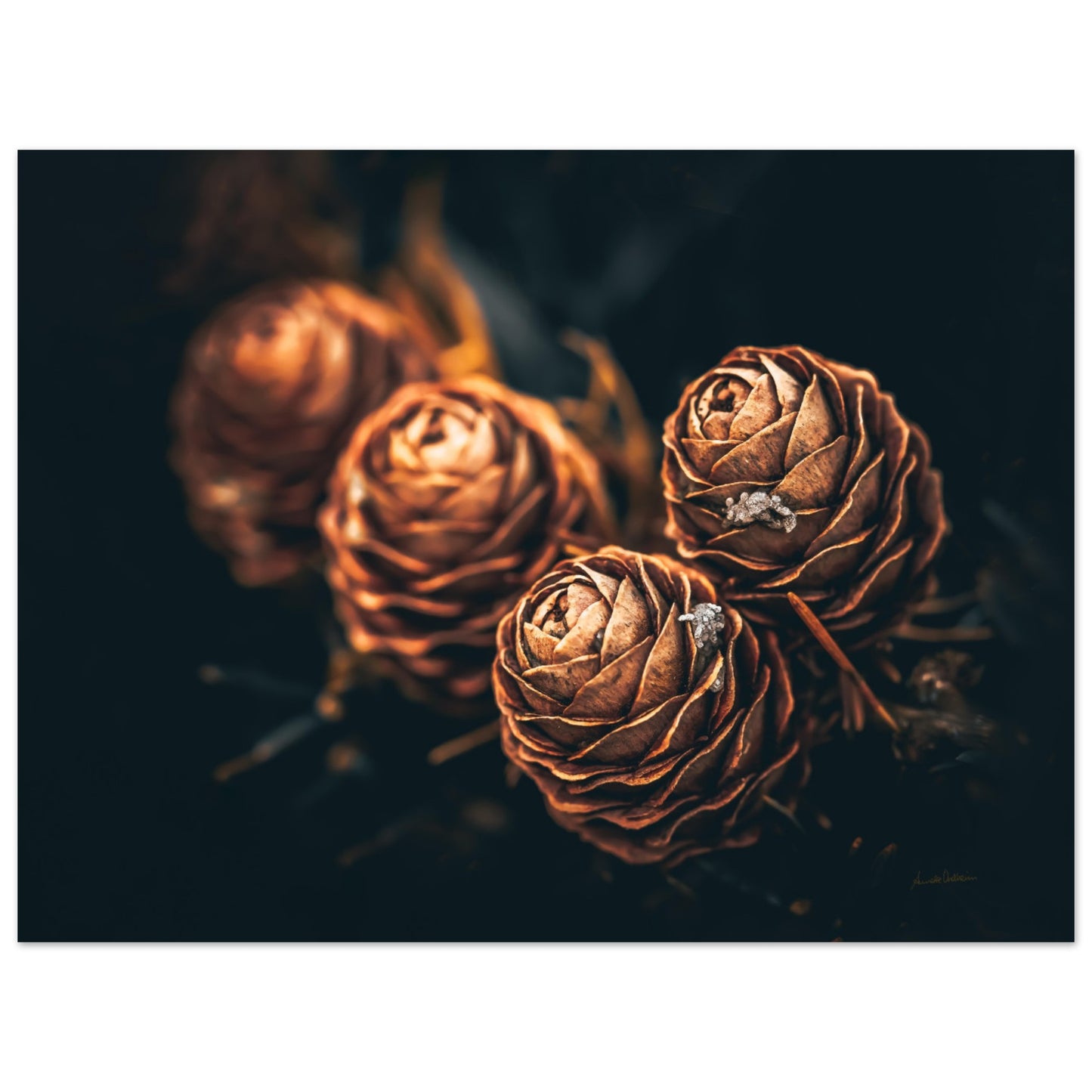 Golden Cone II - liggende format