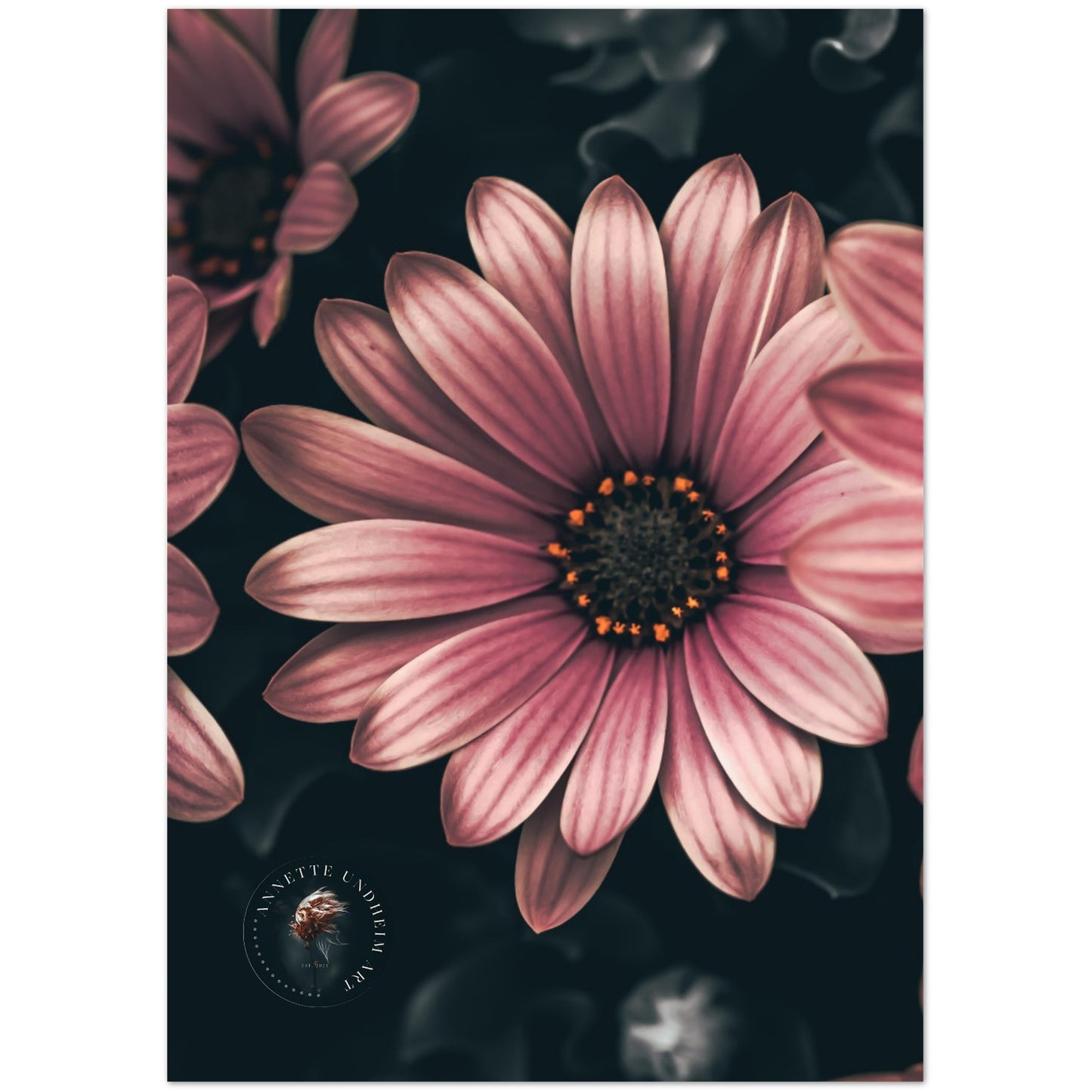 a3652981-d2d1-4cbc-b271-ce045132240d