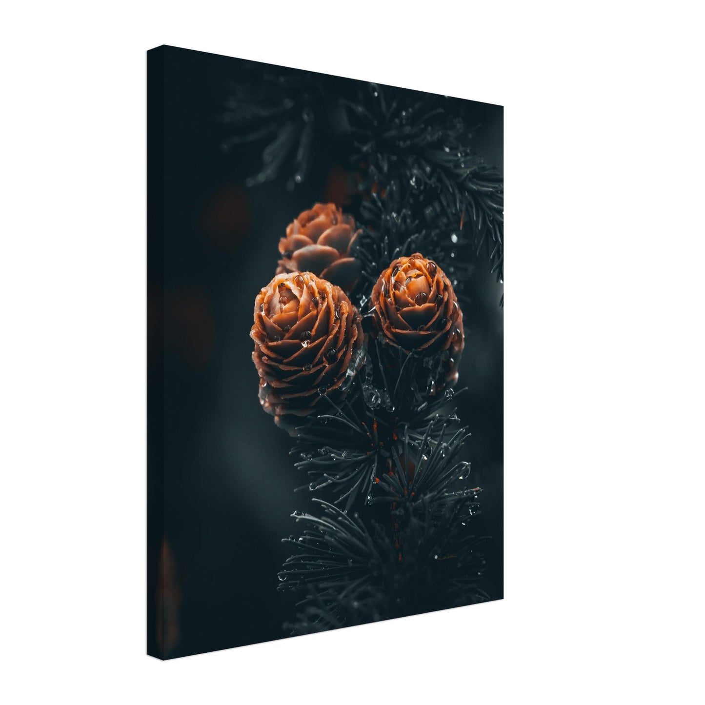 afdbbaaf-e22f-48df-8150-ffc1abb7a80b