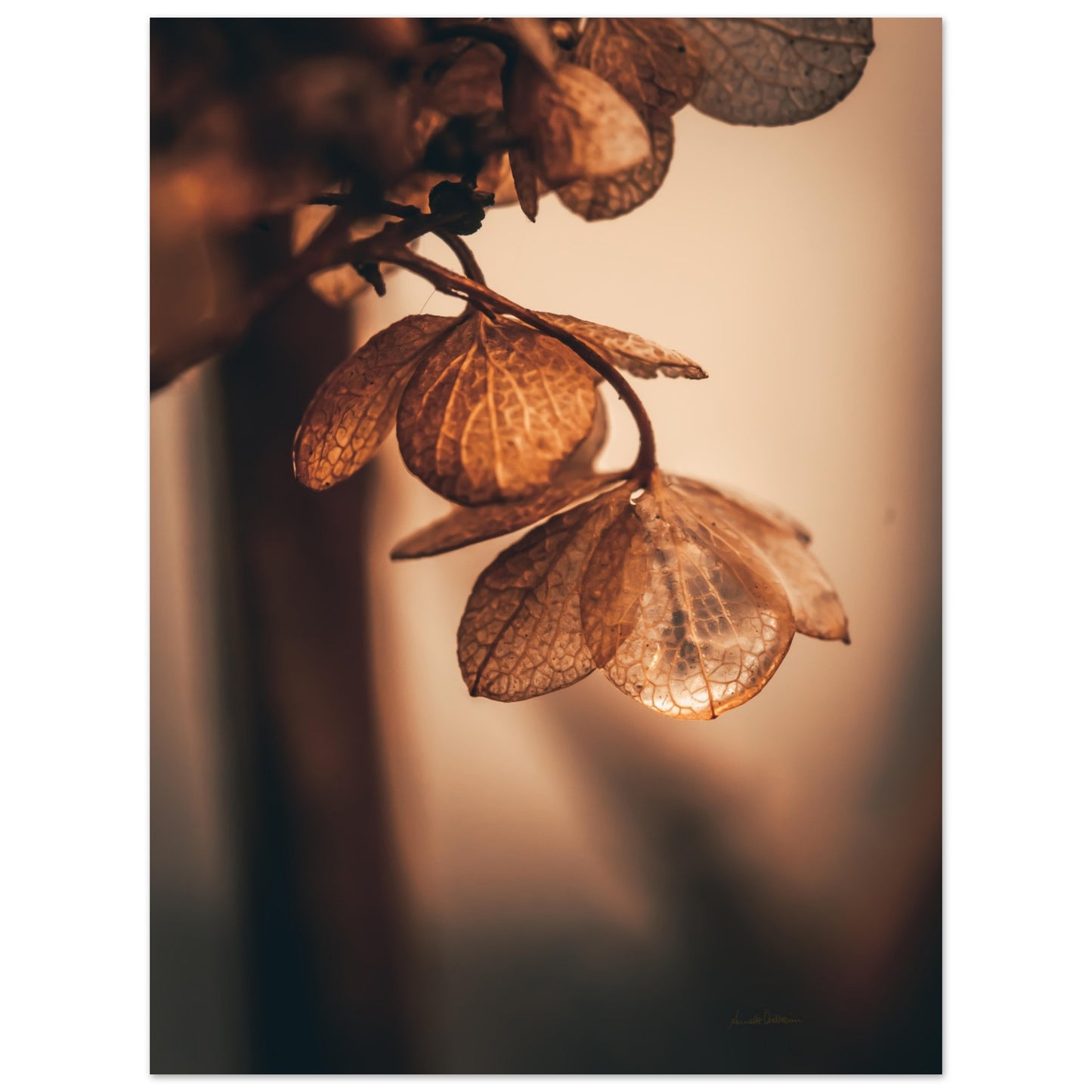 Warm drops