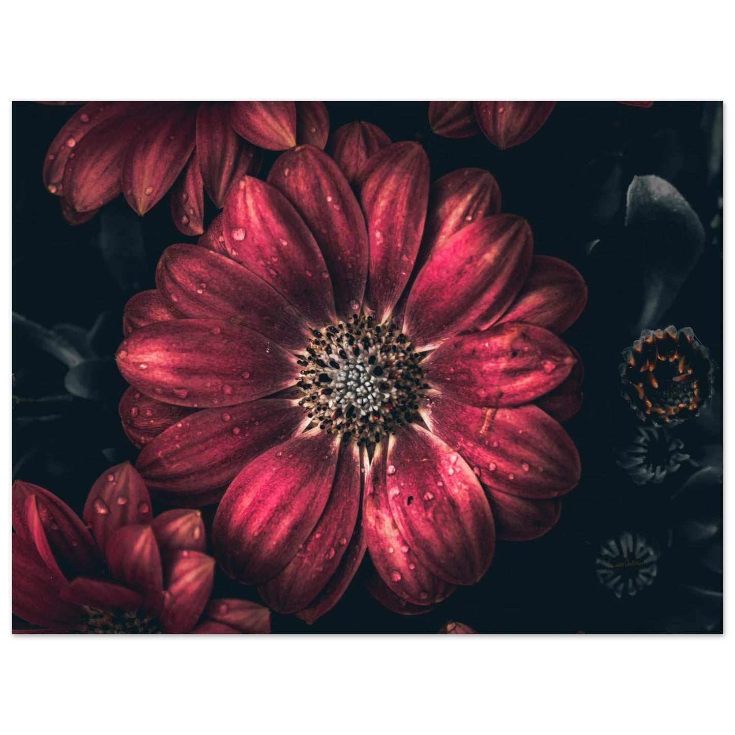Soft & warm - liggende format