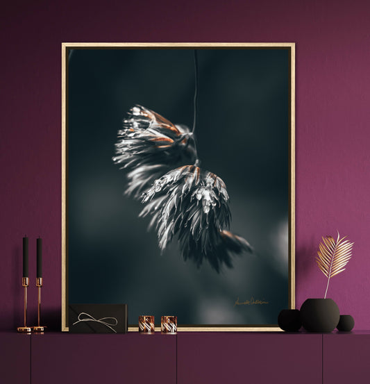 Feathery - Fotoplakat uten ramme