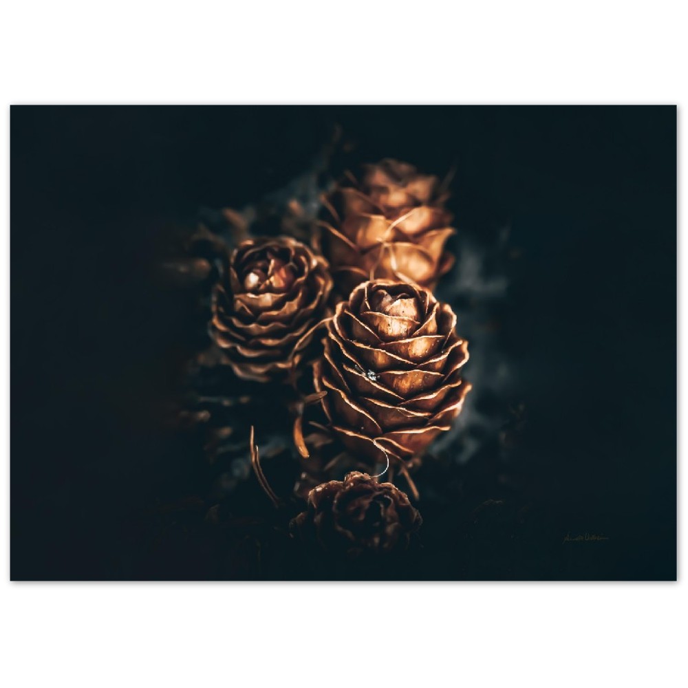 Pinecone love - liggende format