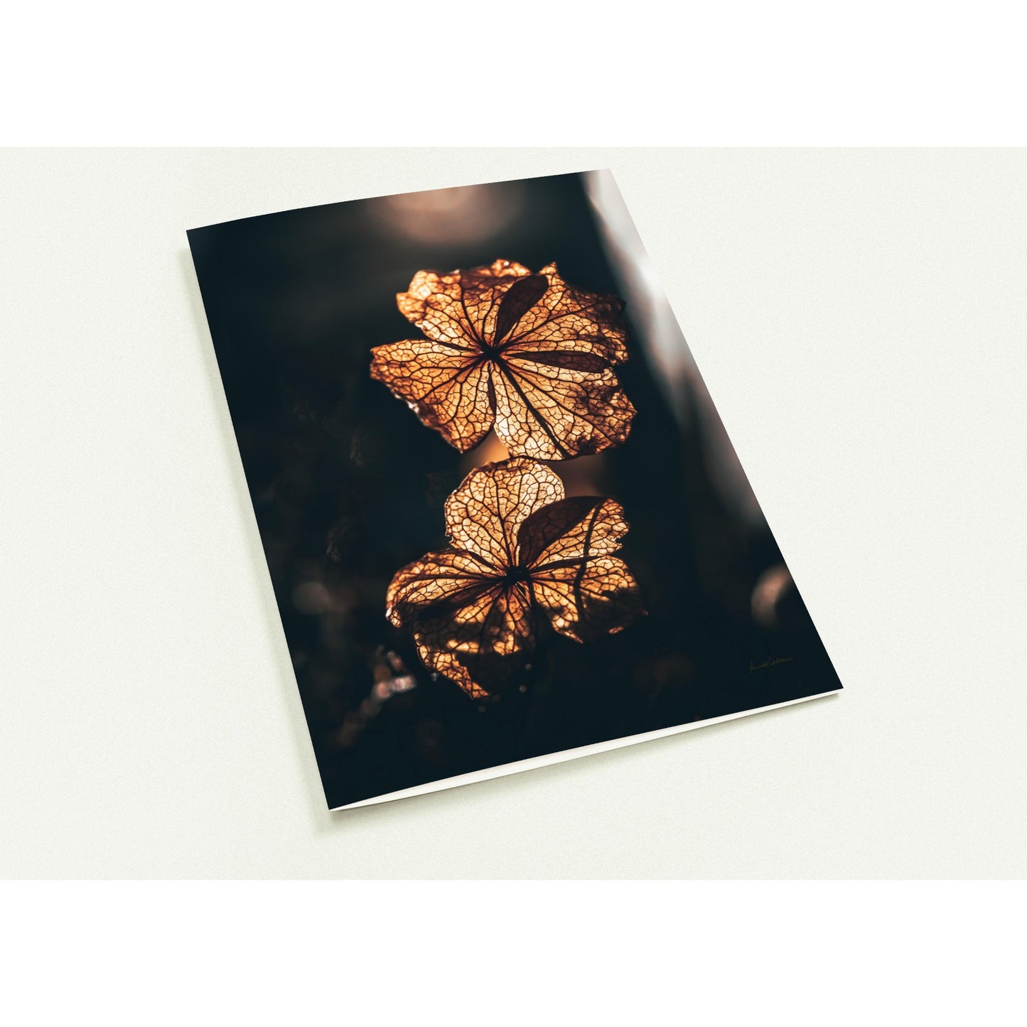 Golden Bloom  - Pakke med 10 foldekort (standardkonvolutter)