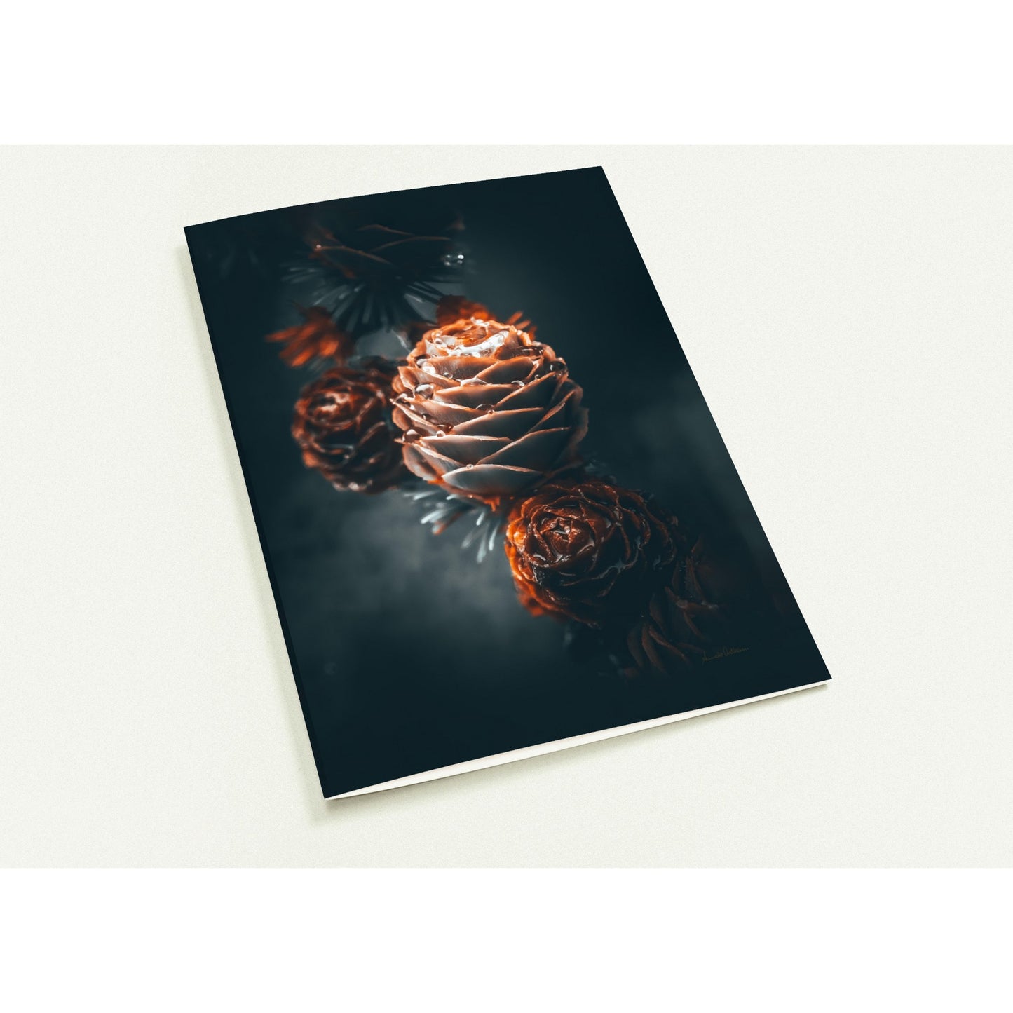 Overflowing kort - - Pakke med 10 foldekort (standardkonvolutter)