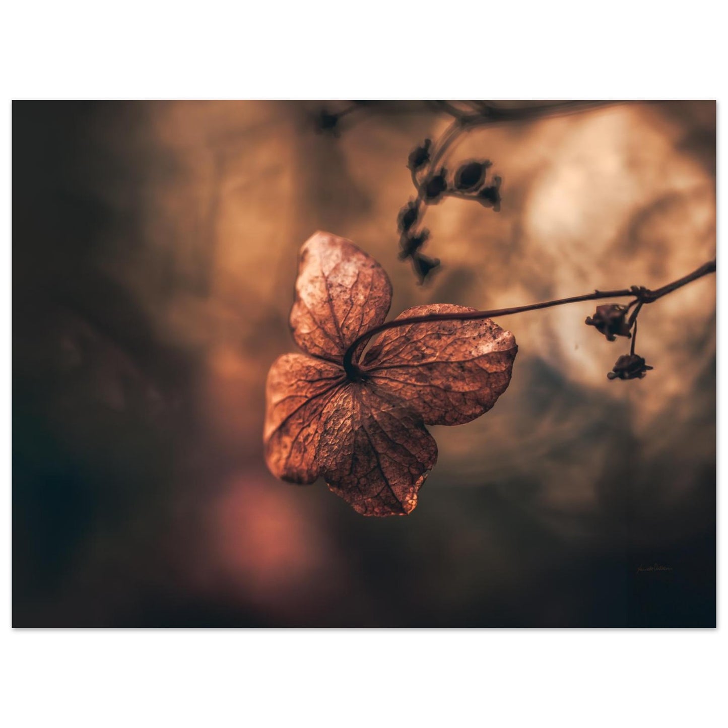 04059fea-703a-458b-bedf-d75d89e29baa