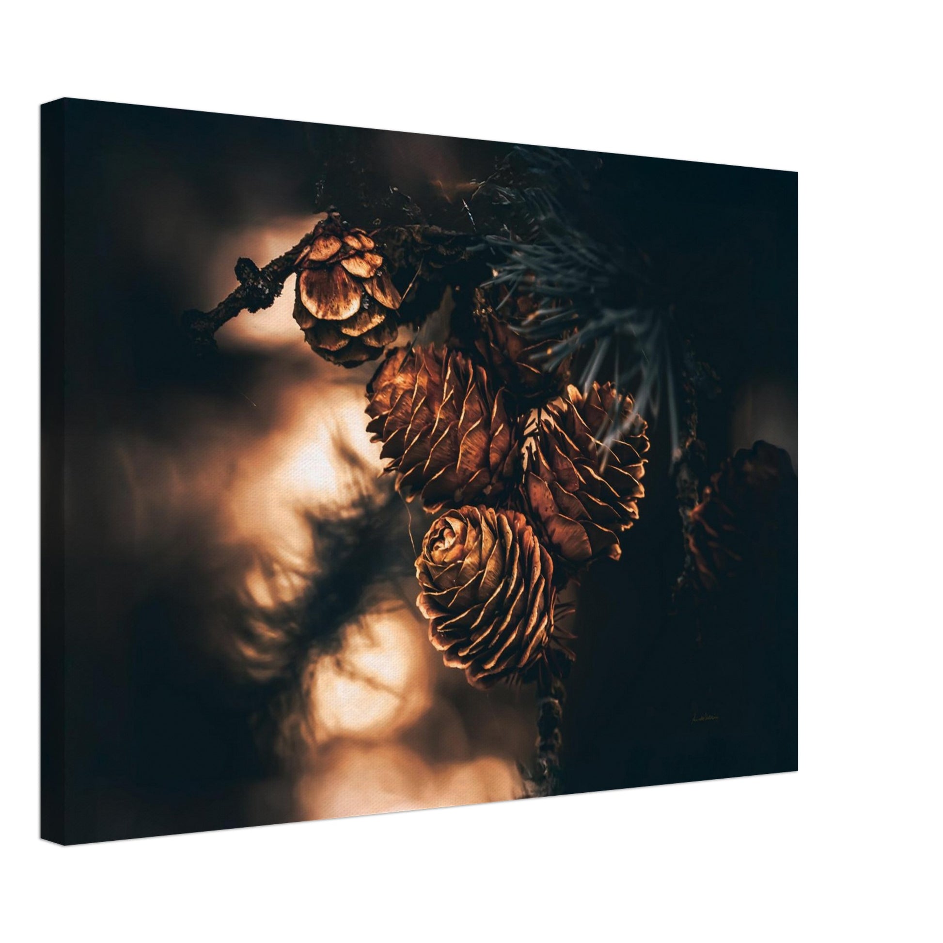 04cf2095-15ec-48e9-bce7-62872ca4a114