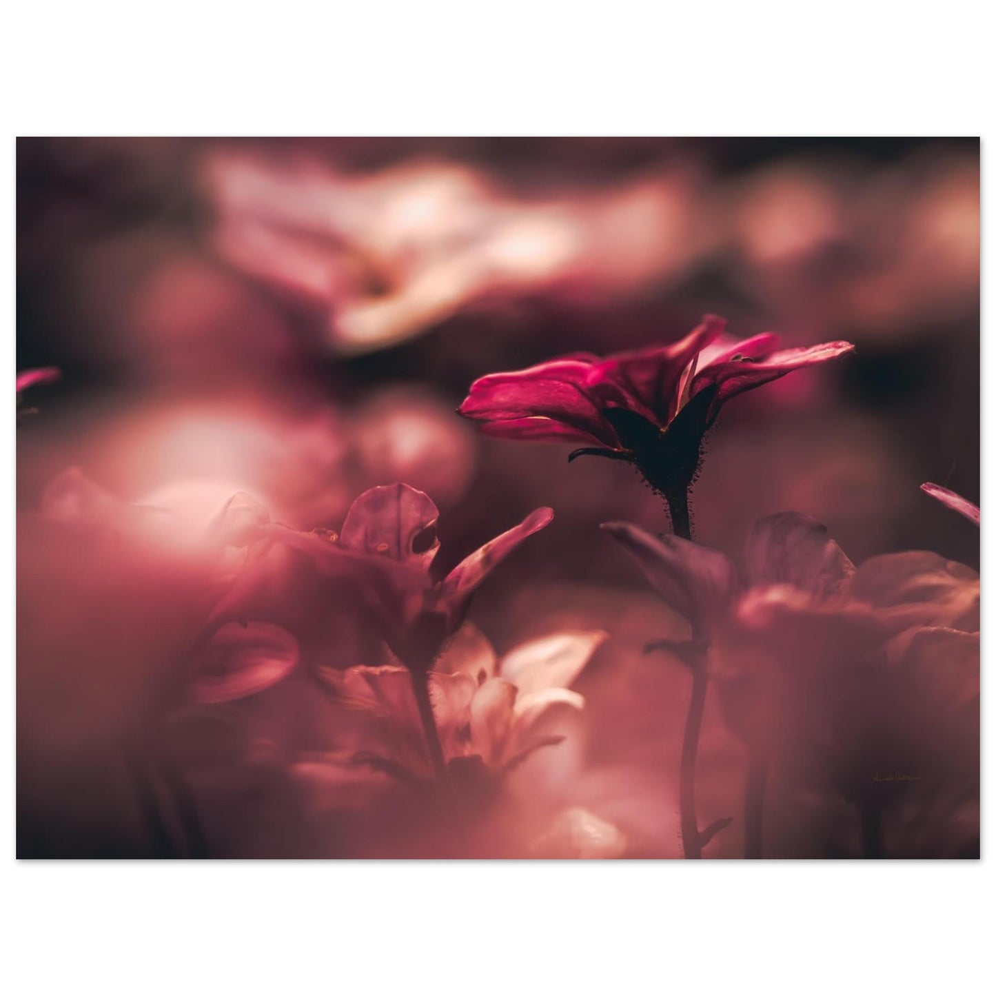 138ce9a4-3f1a-4f93-b6b5-58e1783c877a