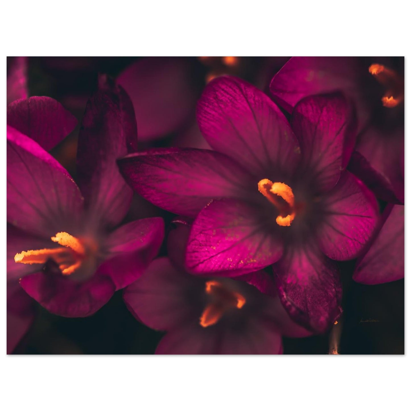 1e2b83cd-8b03-4c78-abc1-d9158da988f8
