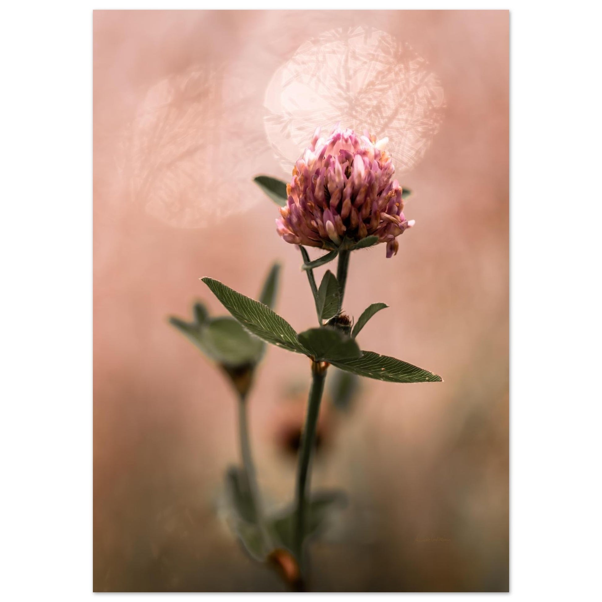 204424ac-86f8-4df4-bd00-75d494611d37
