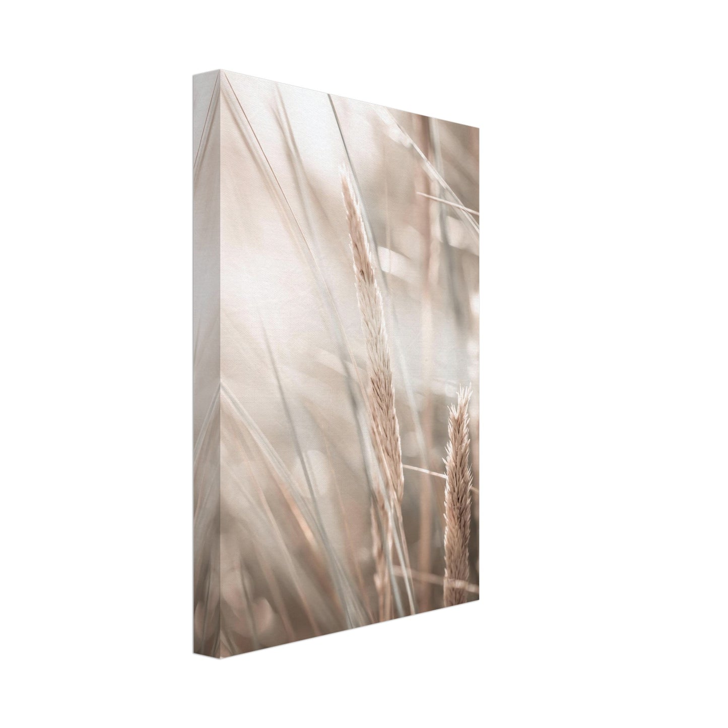20fcc193-e4a8-4081-a4f9-0bb85c12f33b