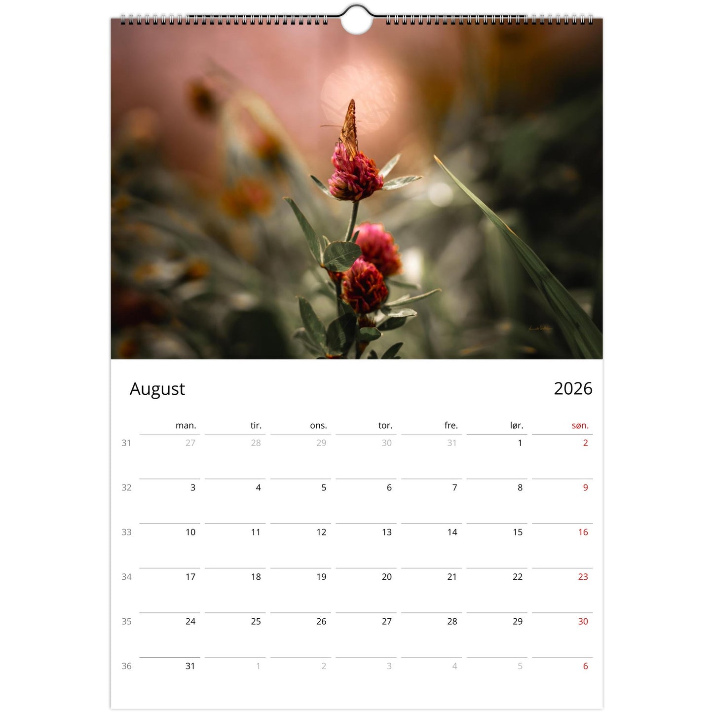 383ec199-ab5c-480f-8d7e-cbd70e73901a