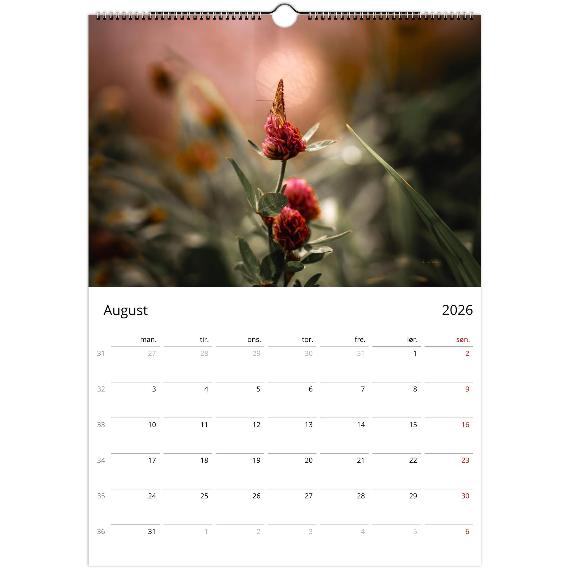 383ec199-ab5c-480f-8d7e-cbd70e73901a