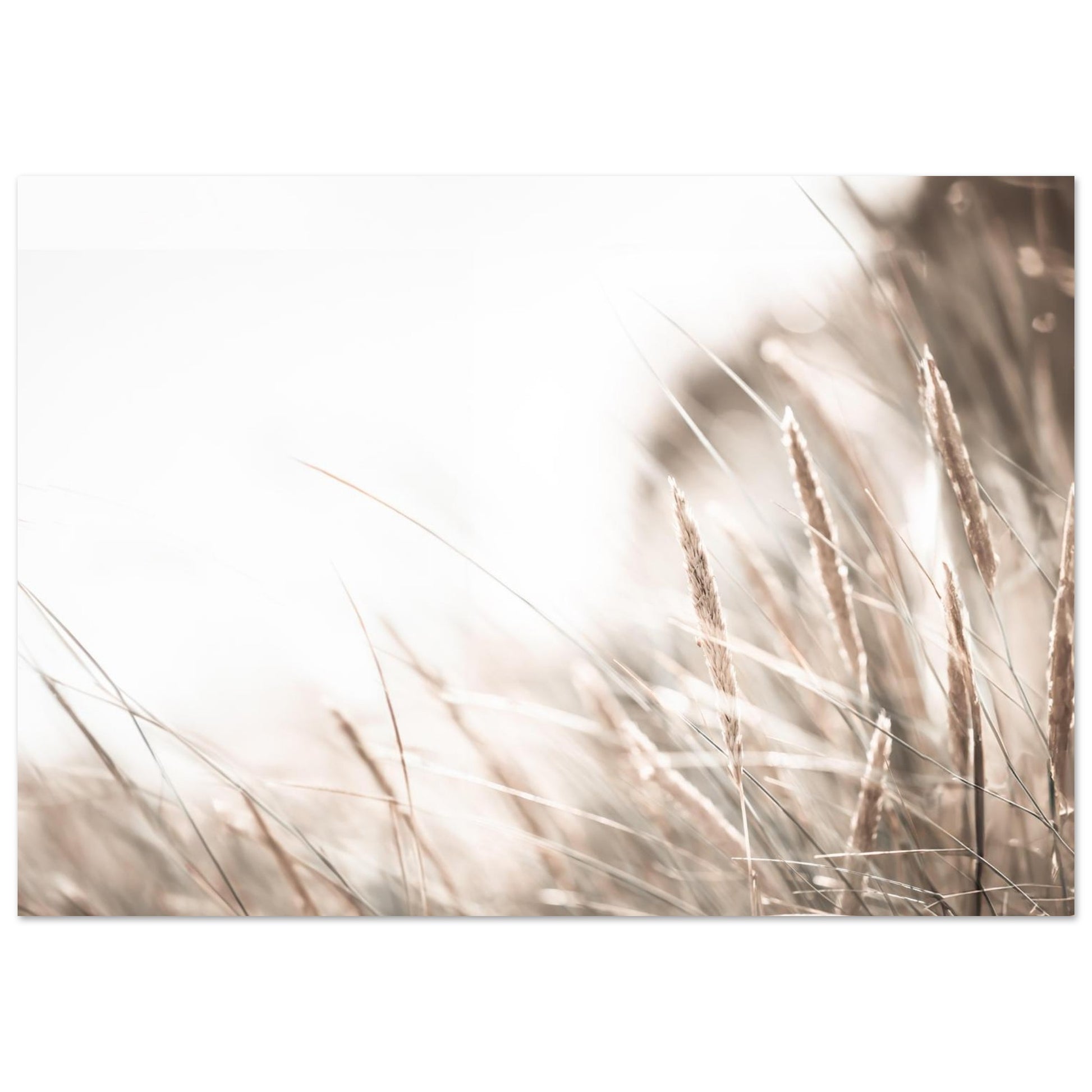 3cf36d17-3000-47f3-a282-114401e52f62