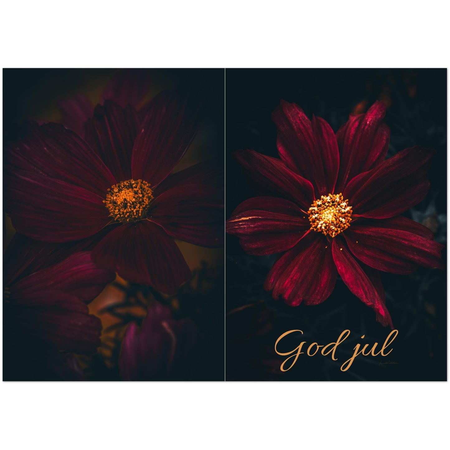 558788d4-fa69-41e9-90b1-cac13763d227