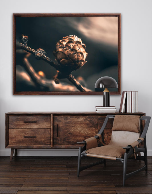 Looking out - liggende format