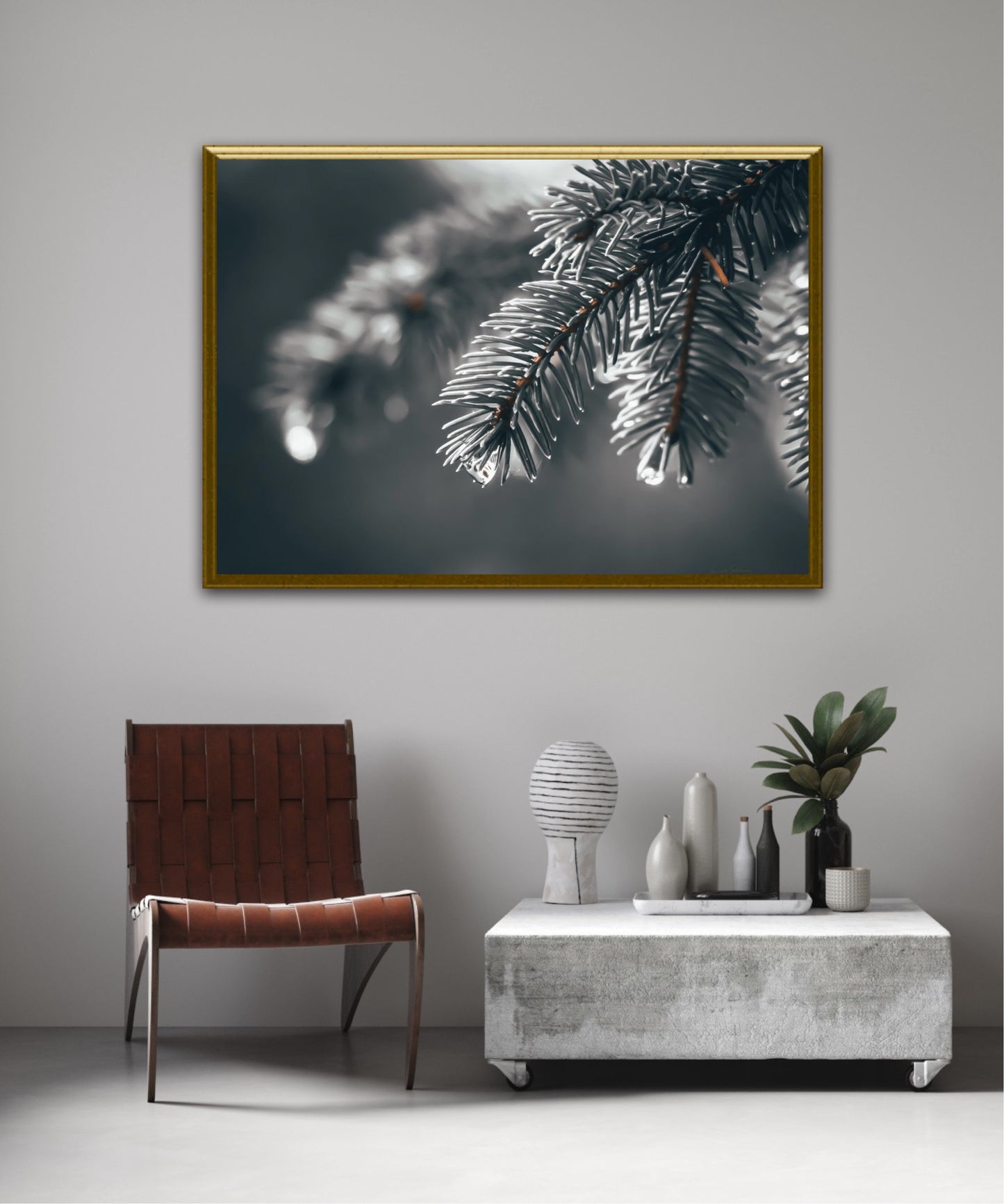 Wood bright