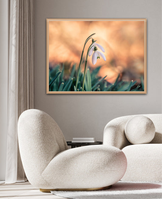 Come with me - liggende format