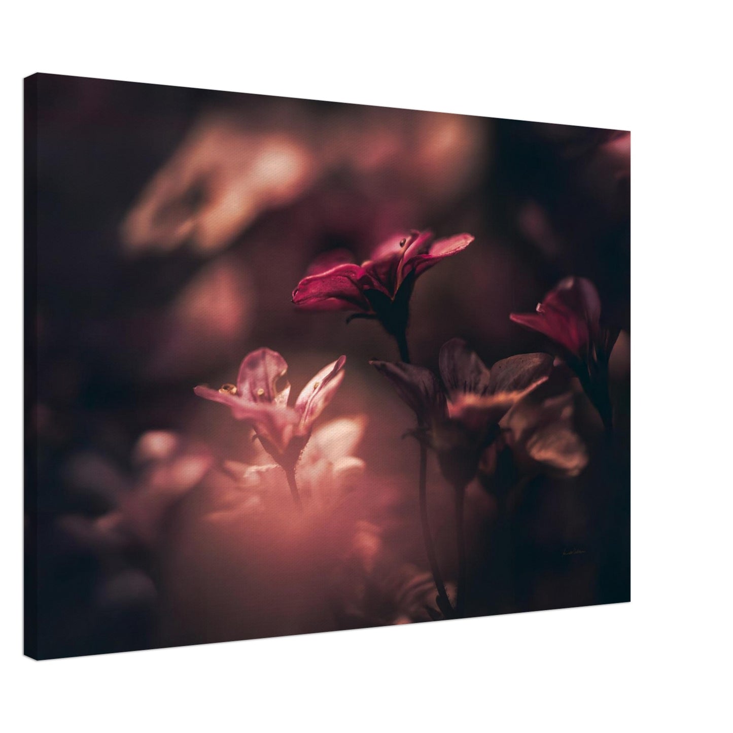 5b04e8b7-d2e0-4f00-bddc-757e82562641