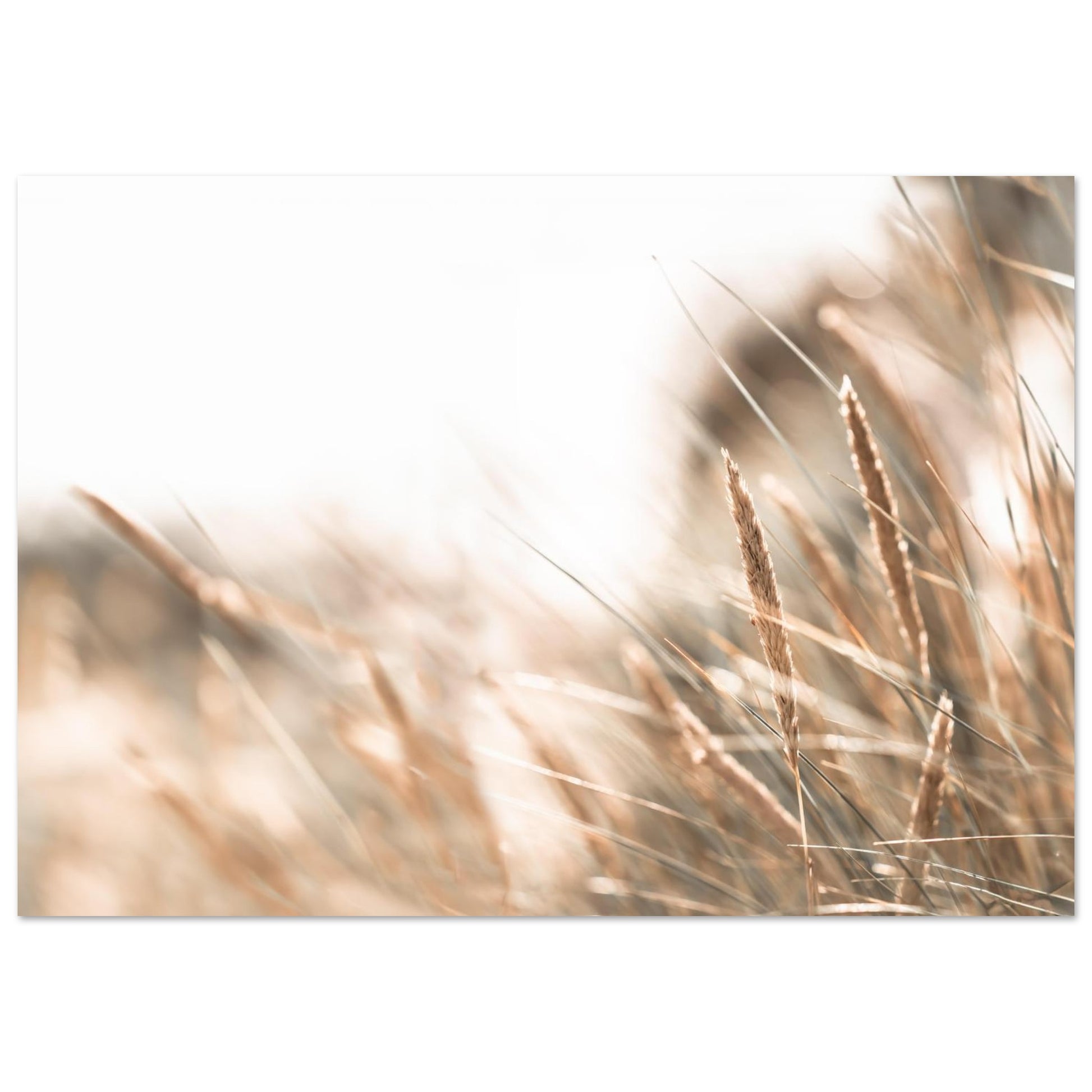 69029e0c-f820-459f-8814-c1e2dbb6dd23