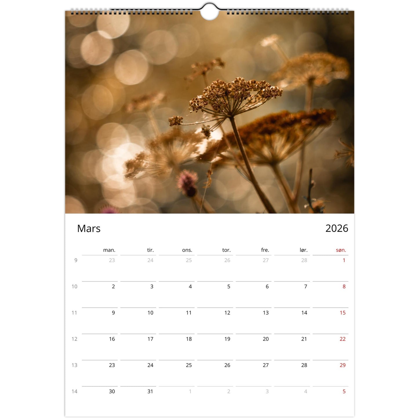 6d78d570-1e1b-4009-9574-8a7d73b0ddec