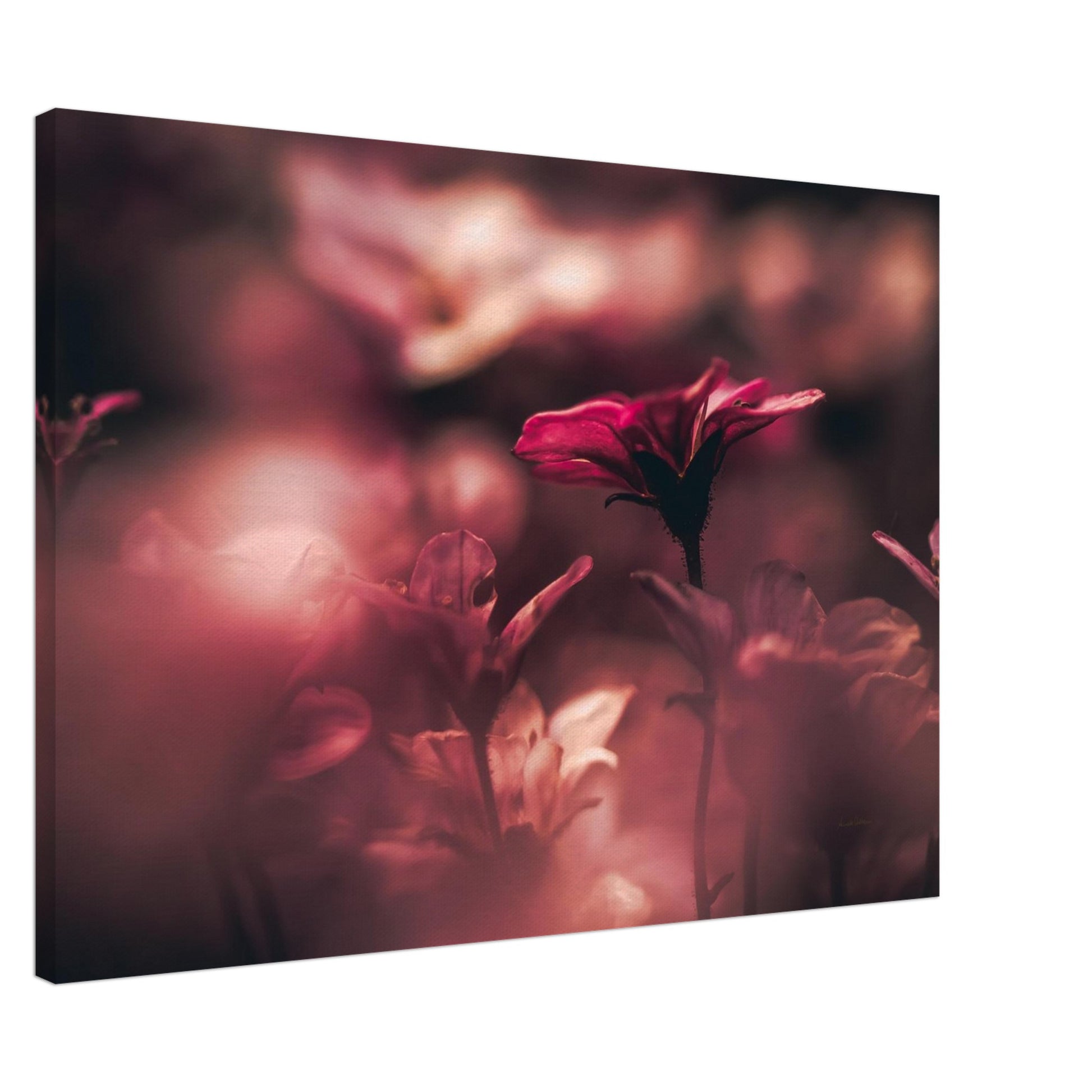 7124799a-0473-4188-b3f8-a68fb4c81564