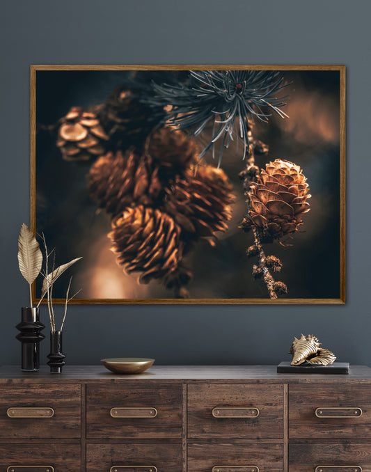 Wonders - liggende format