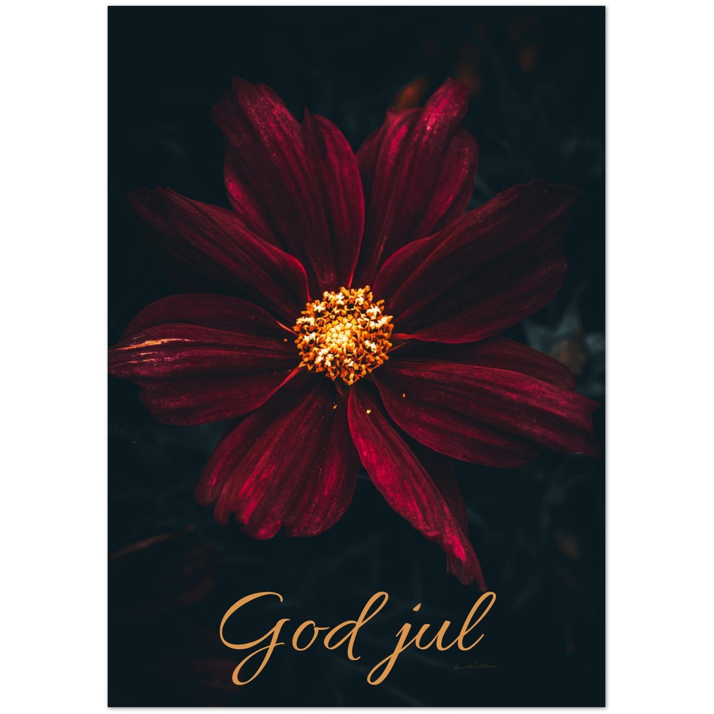 7b9e5cf5-9c87-4d12-8817-9d56a92f04c2