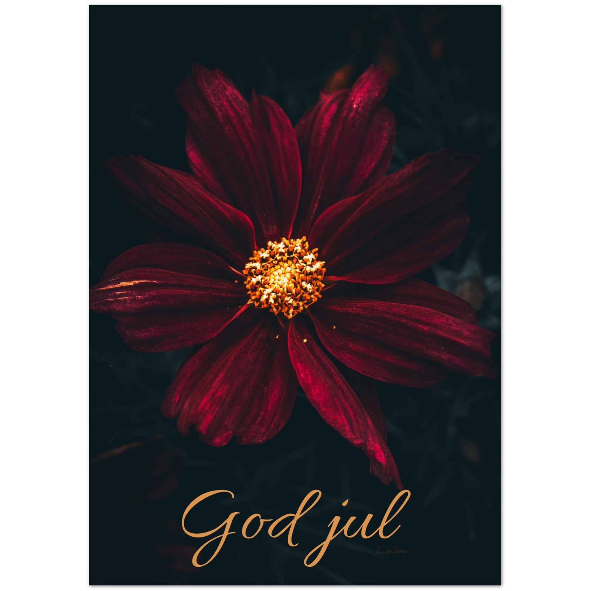 7b9e5cf5-9c87-4d12-8817-9d56a92f04c2