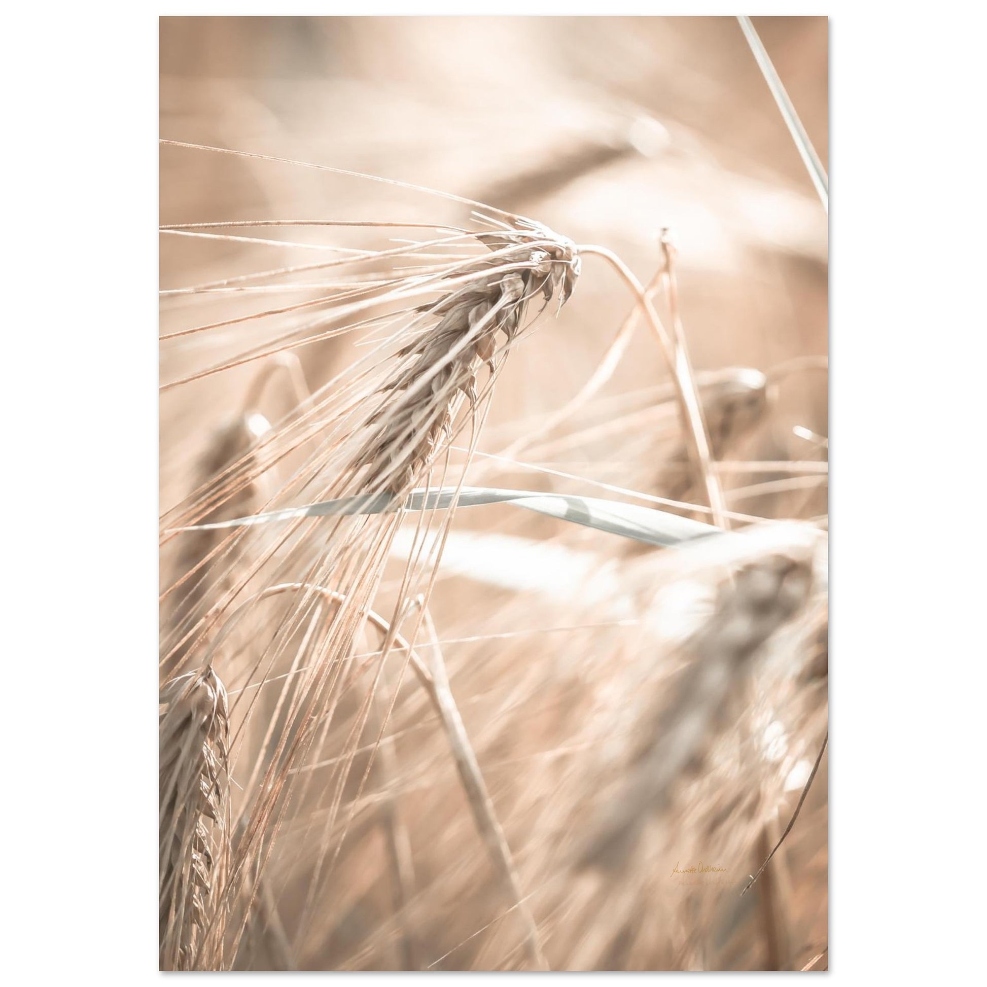 80fd655e-eb37-4853-98bb-eeffc355e223