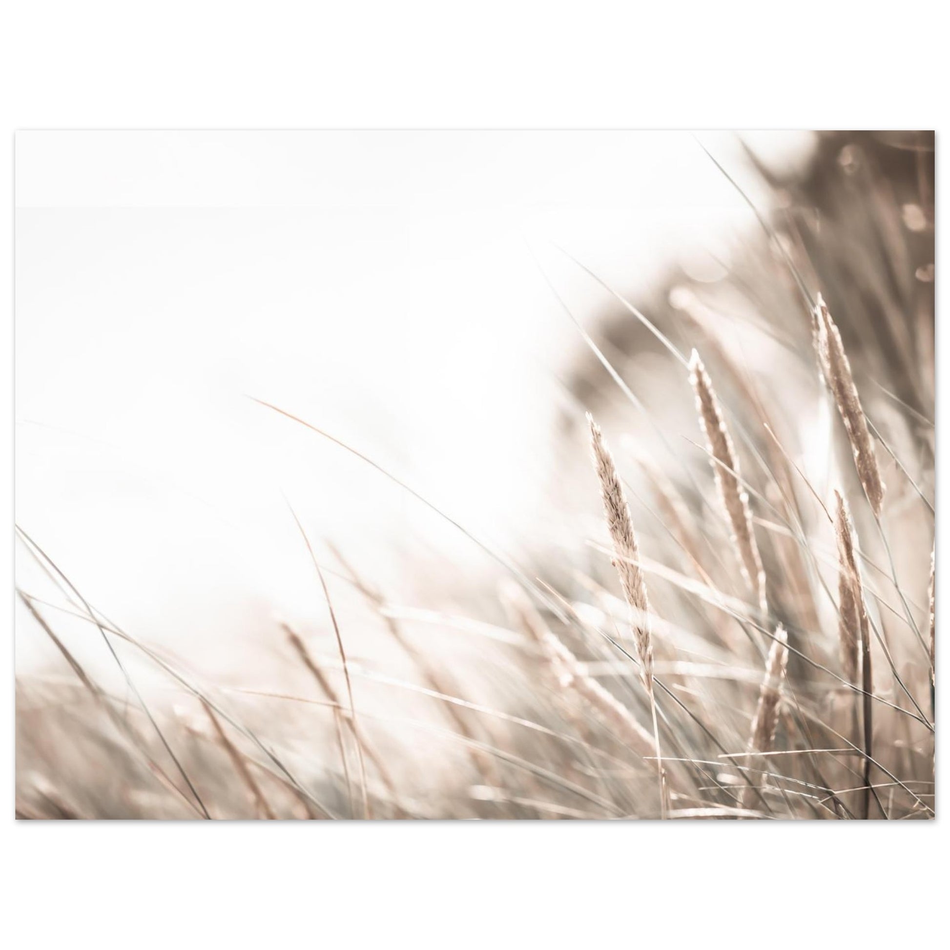 8a04d030-3d26-4bb0-aa5b-4afa1bc74c02