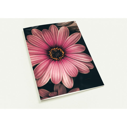 8ad83353-1a68-4b2a-b992-83f417538a42