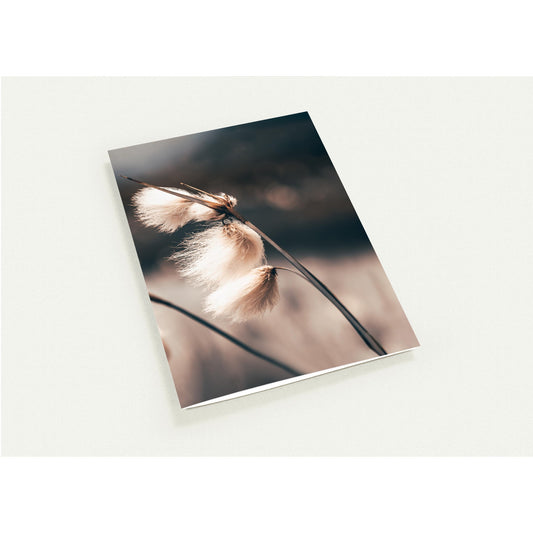 Be free - Pakke med 10 kort (standardkonvolutter)