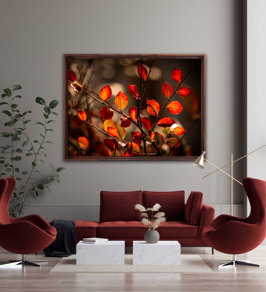 Autumn Glimpse - liggende format