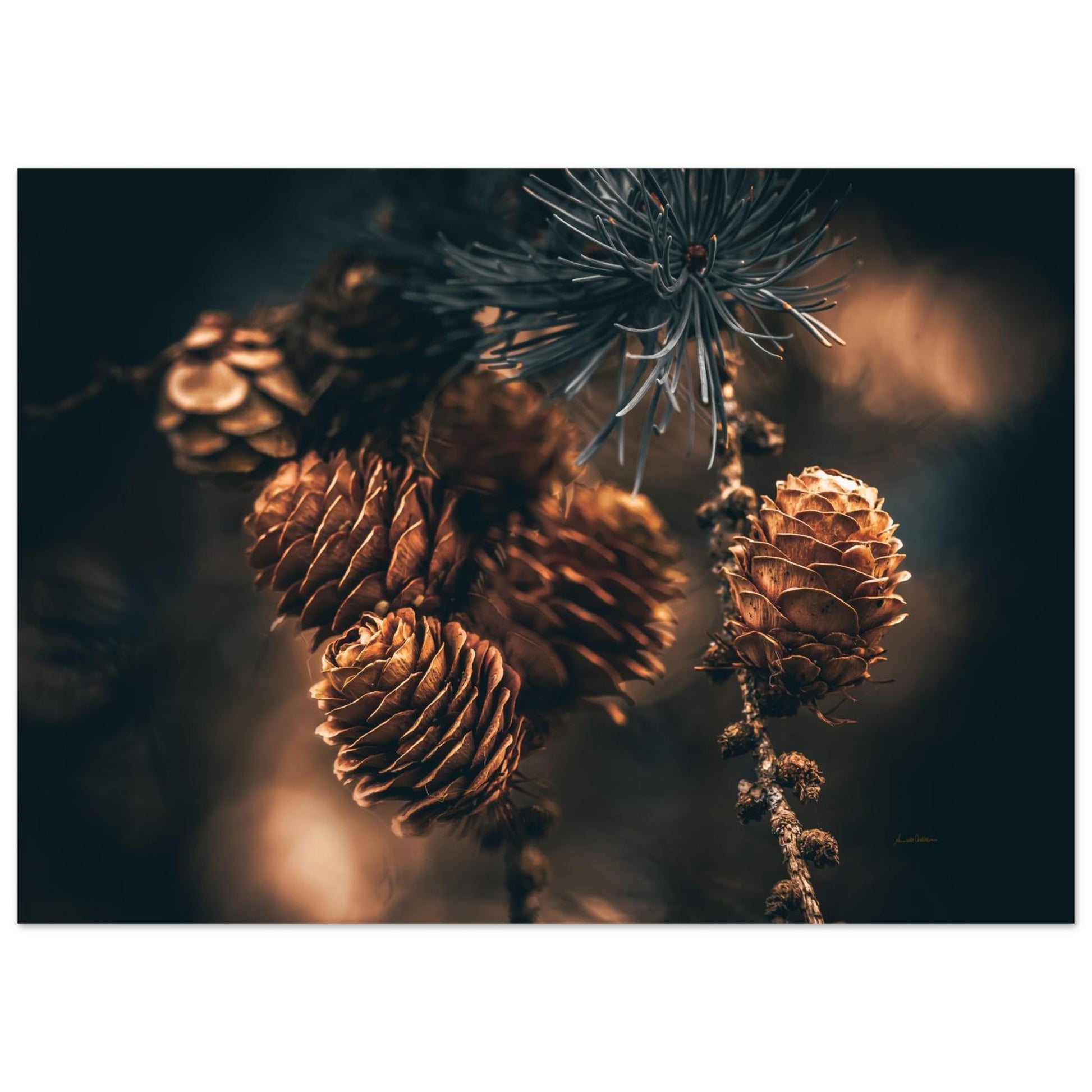 a074631e-d88b-401d-ad60-48405909b02c