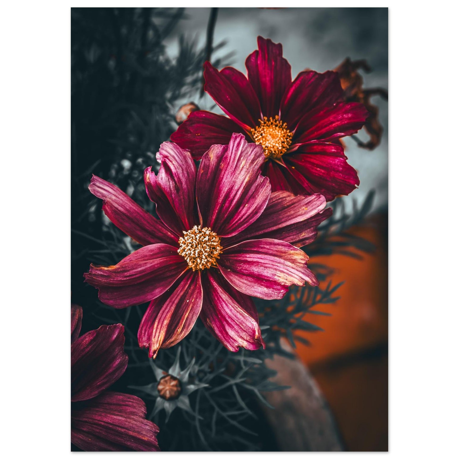 a789c942-0fd9-49a6-a68b-05c677f73c2f