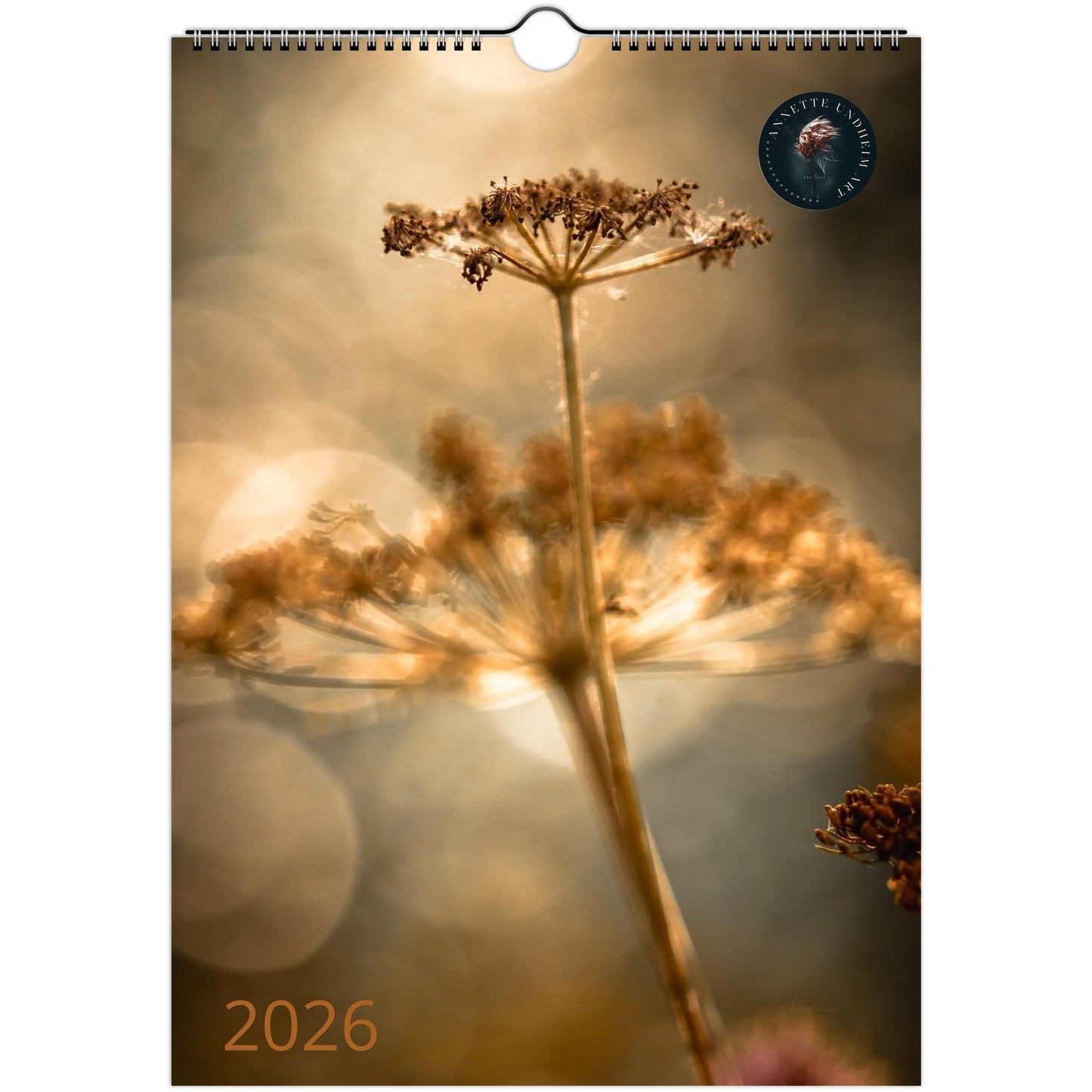 aac6d9d2-487d-49ed-ba99-3fe7a12d0cb5