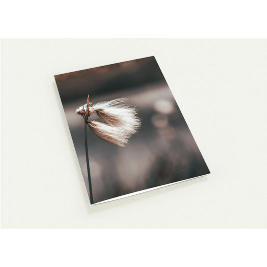 Feel free - Pakke med 10 kort (standardkonvolutter)