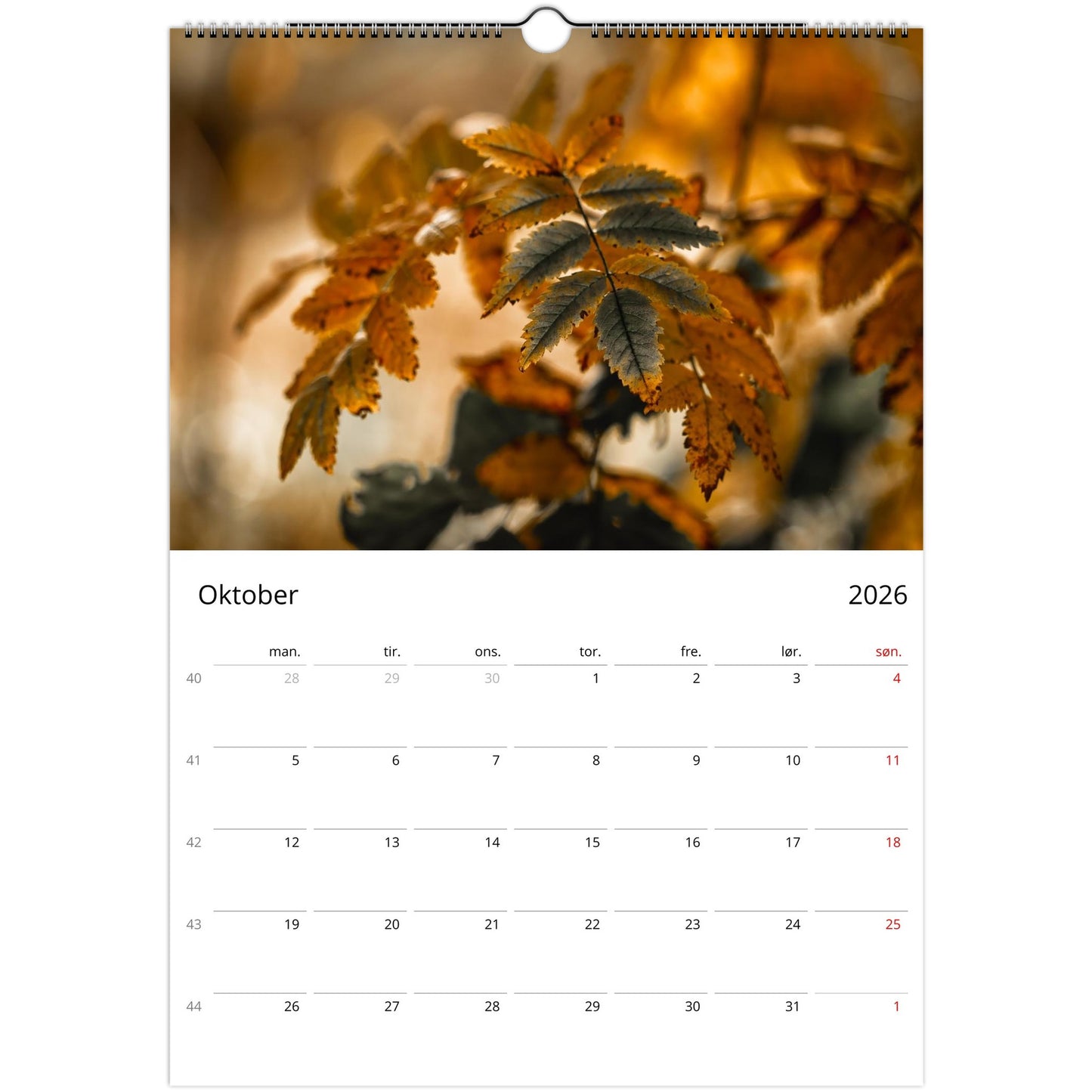 bc7703a6-4bee-40be-9ac0-123f91d9451a