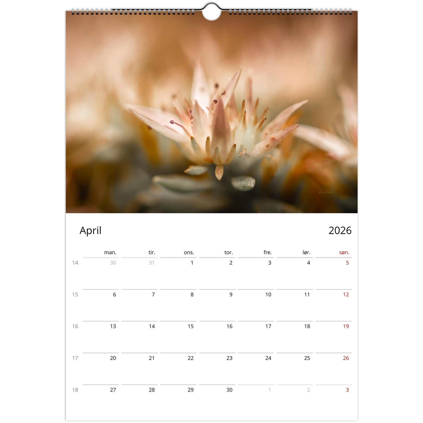 cfa15935-2f4e-474b-8a5c-1e144d2b8254