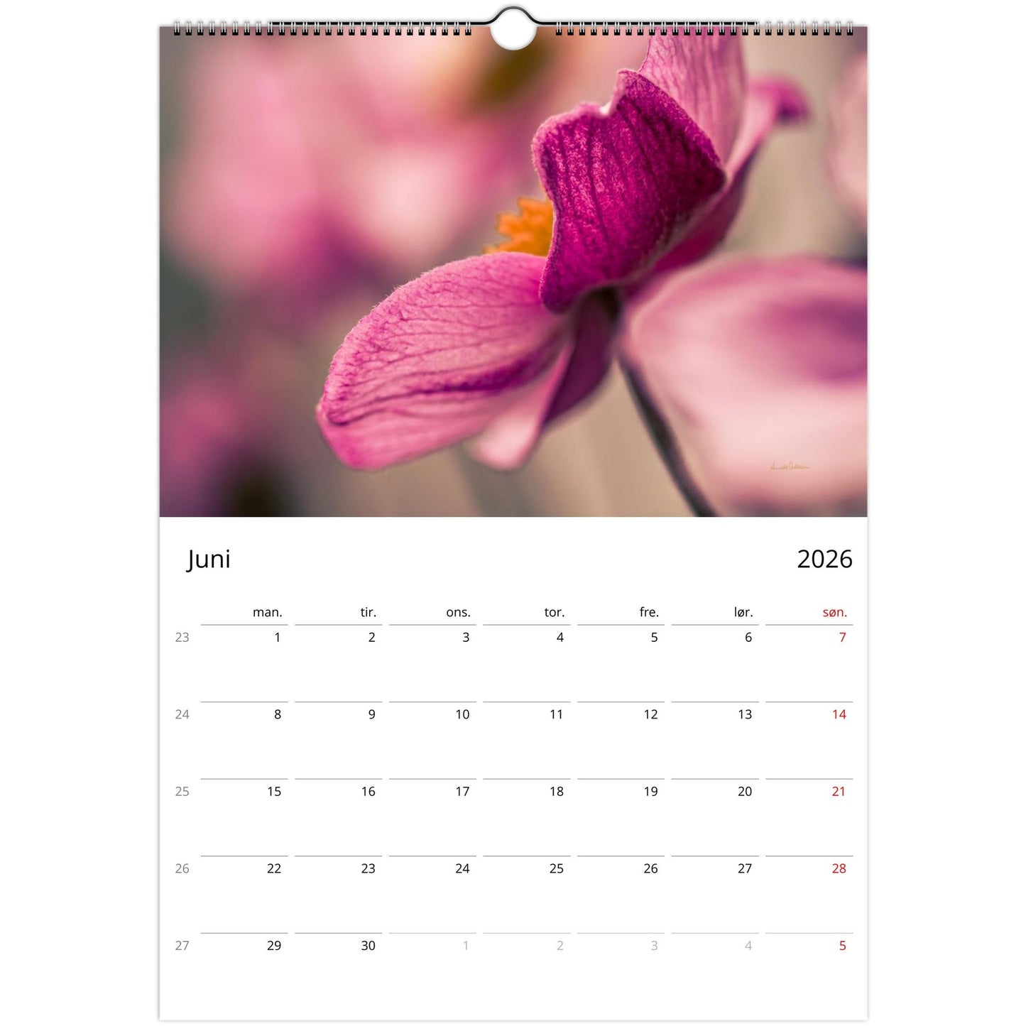 d1deeb7e-3370-4860-97e0-2a955c72ad7a