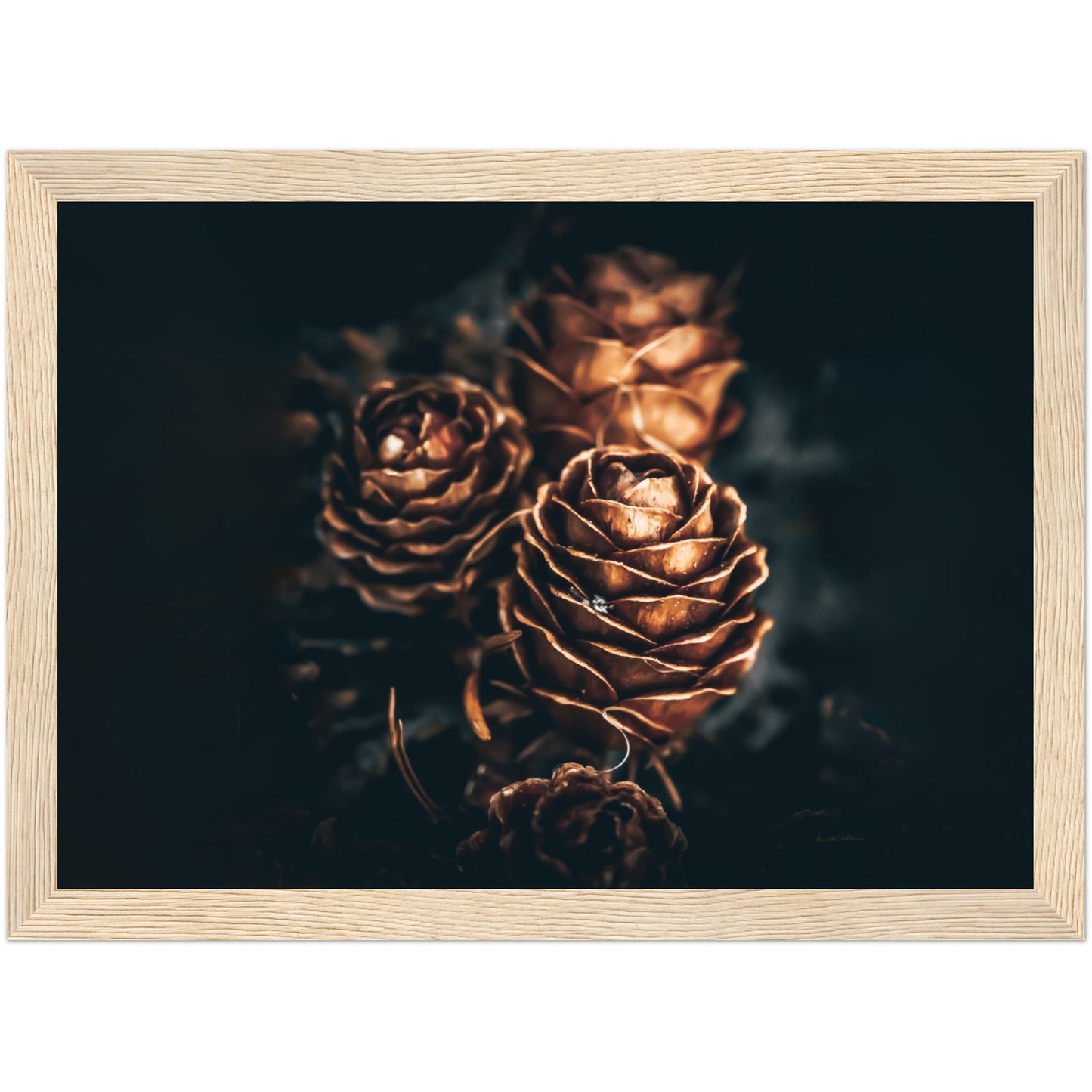 Pinecone love - liggende format - NY